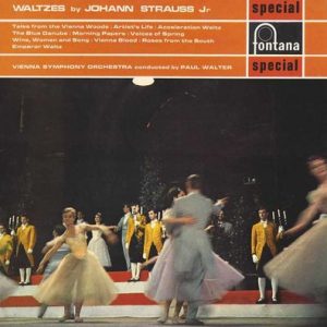 Johann Strauss Jr. - Waltzes By Johann Strauss Jr.