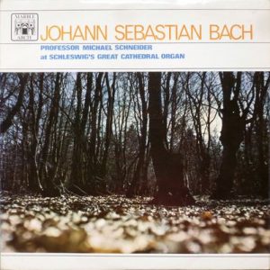 Johann Sebastian Bach - Professor Michael Schneider At Schleswig's Great Cathedral Organ