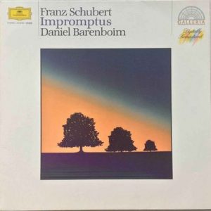 Franz Schubert - Impromptus