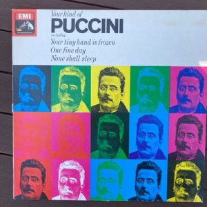 Various - Your Kind Of PuccÎ¹ni