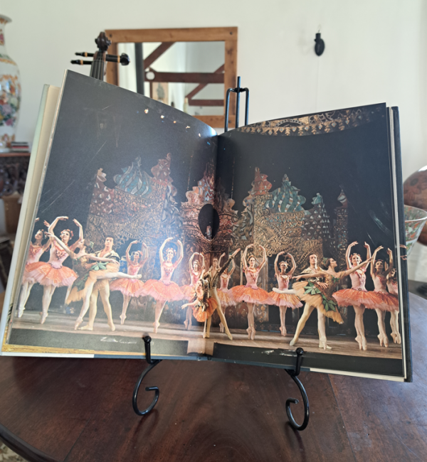 Ballet - Image 2